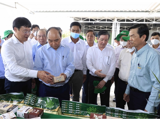Đồng Tháp needs to promote economic models associated with agriculture: President